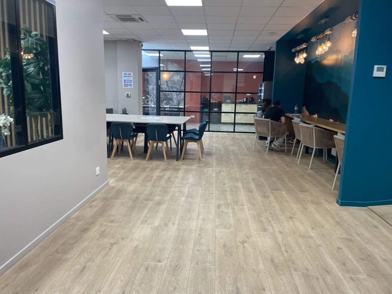 Local d'activité Villeurbanne 1080m² Vente local d'activité Villeurbanne Rhône OVACT2533860 12
